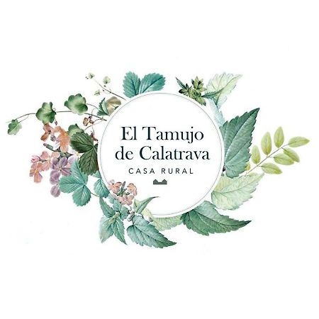 Готель El Tamujo De Calatrava Belvis Екстер'єр фото